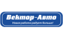 Вектор-Авто